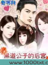 黑道公子的后宫图片