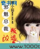 邪魅总裁的嚣张妻图片