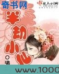 半劫小仙图片