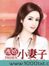 逃婚小妻子图片