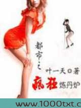 都市之疯狂炼丹炉图片