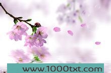 不是秘书，是花儿爷图片