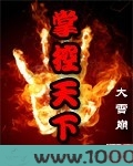 掌控天下图片