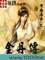 金丹传图片