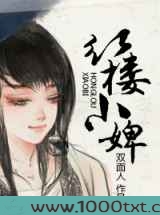 红楼小婢图片
