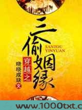 穿越之三偷姻缘图片