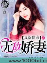 凤临都市之无敌娇妻图片