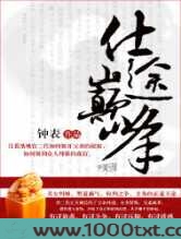 仕途巅峰图片