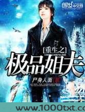 重生之极品姐夫图片