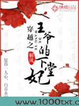 穿越之王爷的下堂妃