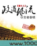 重生之政道风流图片