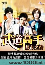 武道高手都市之行图片