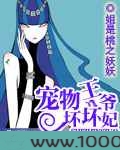 宠物王爷坏坏妃图片