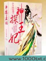 神探王妃图片