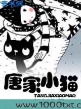 唐家小猫图片