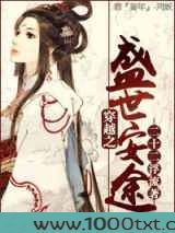 穿越之盛世安途图片