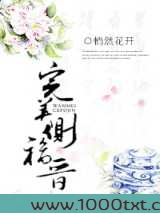 完美侧福晋图片