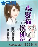 小野猫擒郎记图片