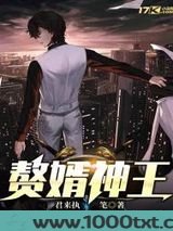 赘婿神王