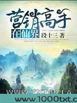 营销高手在仙界图片