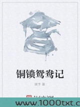 铜锁鸳鸯记图片
