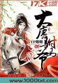 大唐驸马爷图片