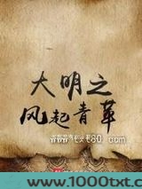 大明之风起青苹图片