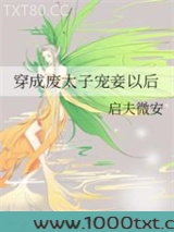 穿成废太子宠妾以后
