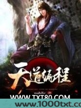 天道编程图片