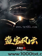 盗宝风云图片