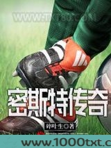 密斯特传奇图片