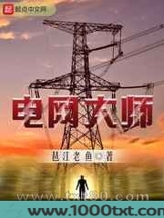 电网大师图片