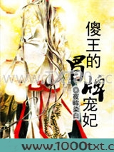 傻王的冒牌宠妃图片