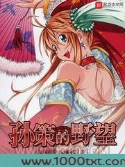 孙策的野望图片