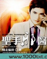 圣手邪医图片