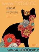 特别的猫
