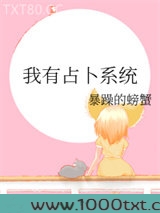 我有占卜系统图片