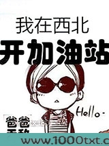 我在西北开加油站图片