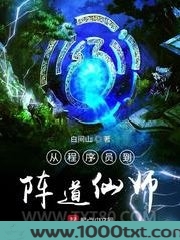 从程序员到阵道仙师图片