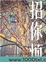 招你烦