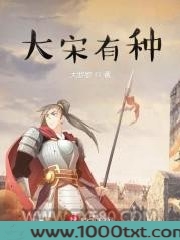 大宋有种