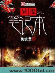异度笔记本图片