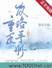 重臣攻略手册图片