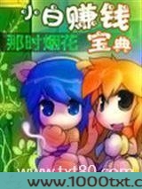 小白赚钱宝典