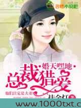 婚天嘿地，总裁猎爱图片