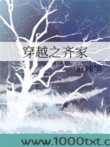 穿越之齐家