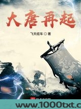 大唐再起图片