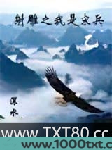 射雕之我是宋兵乙图片