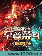 网游之至尊菜鸟