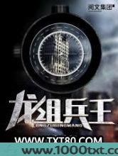 龙组兵王